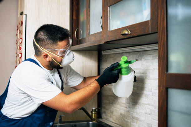 Best Wasp Removal Services  in Matawan, NJ