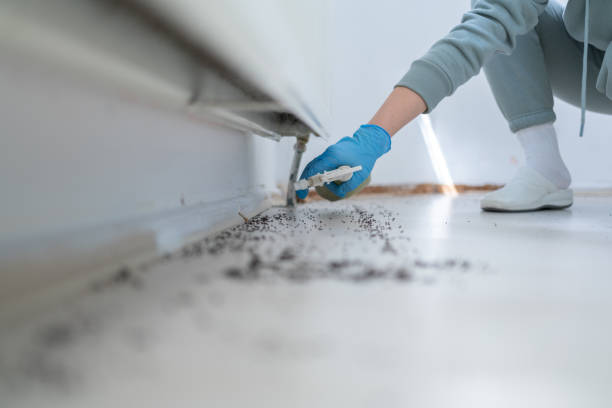 Best Flea Control Services  in Matawan, NJ